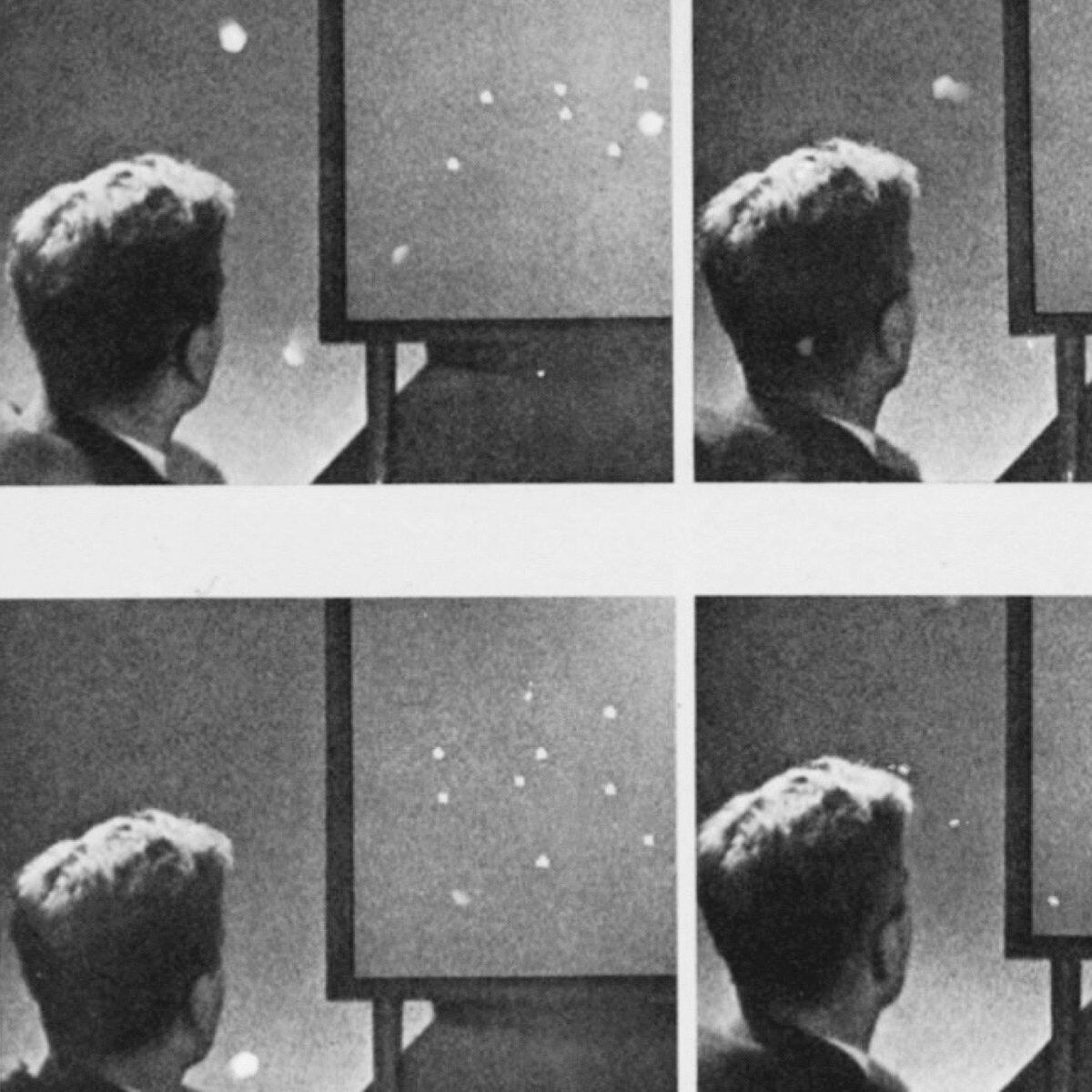 Stray Fossa / Laridae（50 Ltd Cassette）