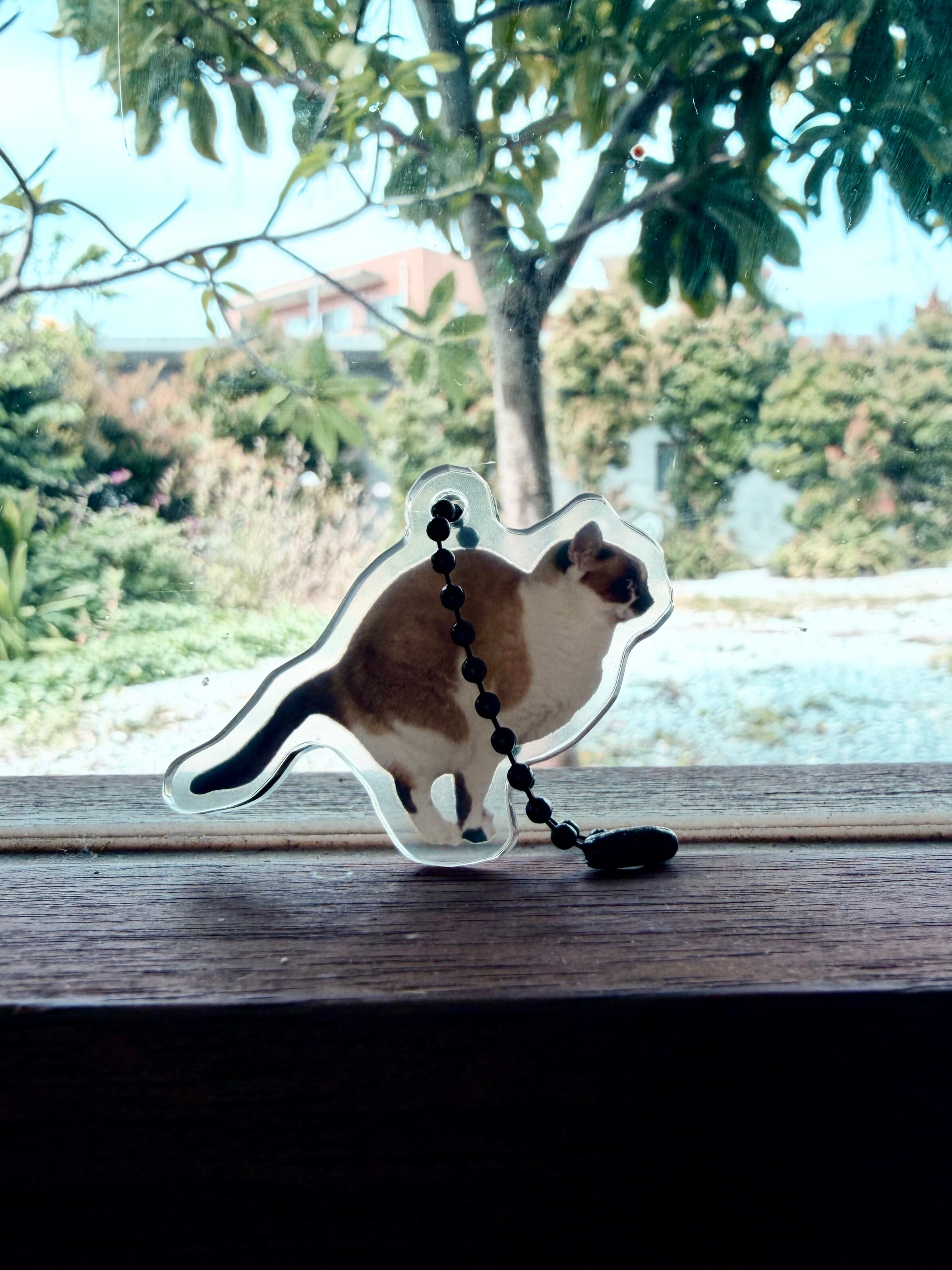 ねこ 猫のクッキー缶 KATZE（カッツェ） | Pay ID