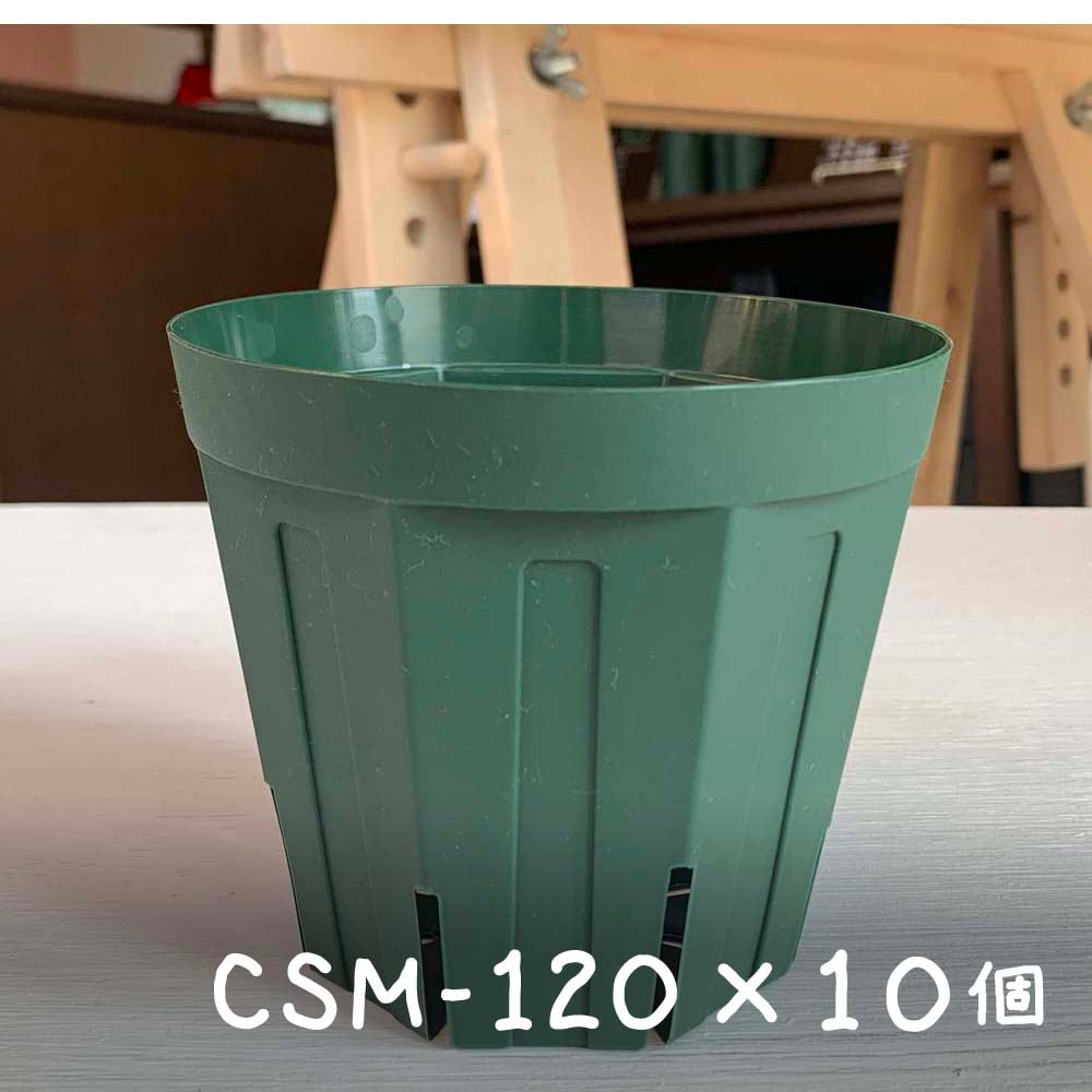 10個セット】CSM-120（4号・12cm） スリット鉢 Botanique(ボタニーク)