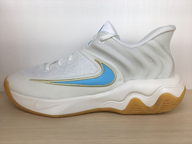 NIKE（ナイキ） EBERNON LOW PREM（エバノンLOW PREM） AQ1774-100