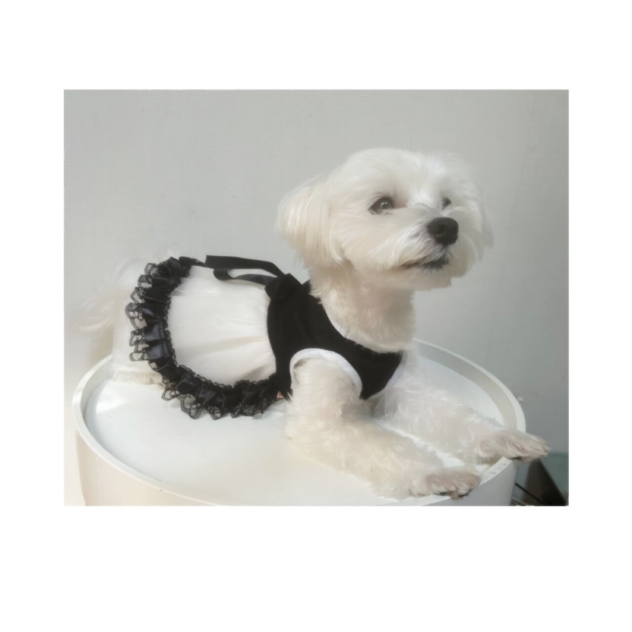 ドレスワンピース