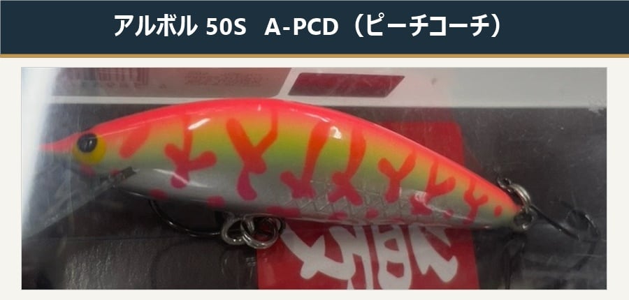 ディスプラウト × アブガルシア カーディナル3 50th Anniversary