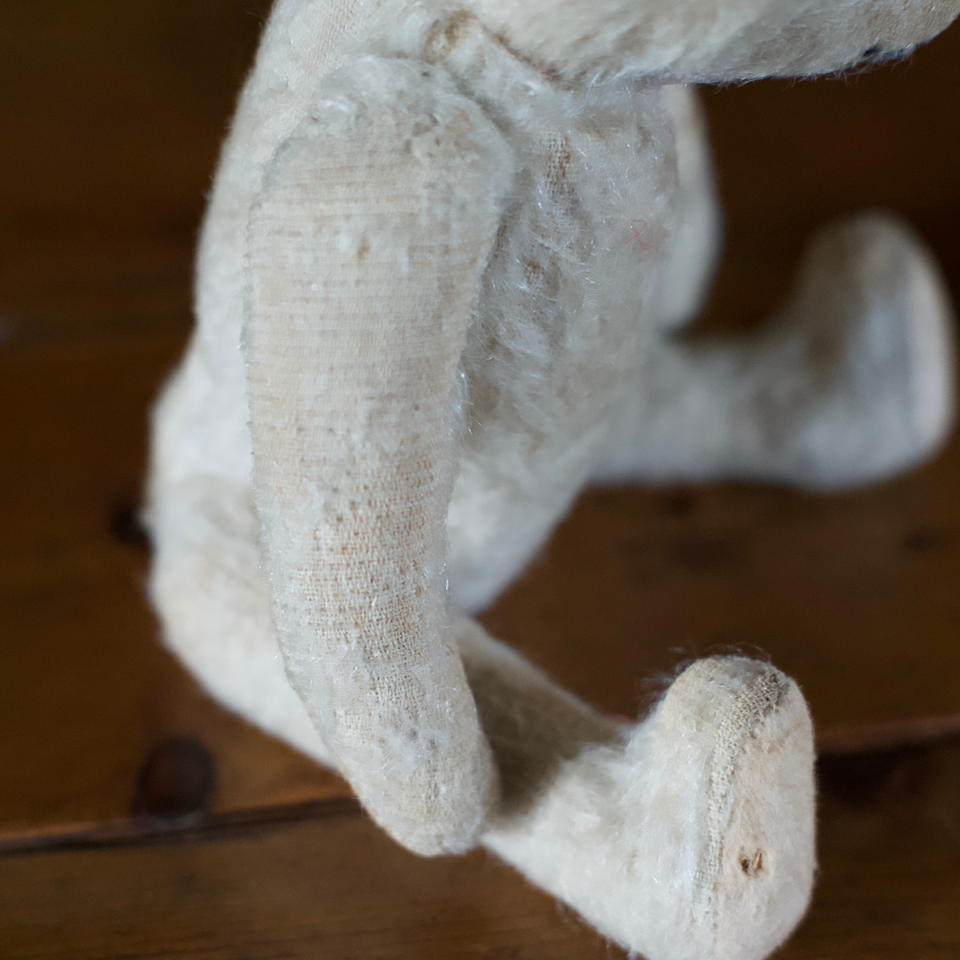 Teddy Bear / テディベア〈 ぬいぐるみ・くま・オブジェ・ディスプレイ