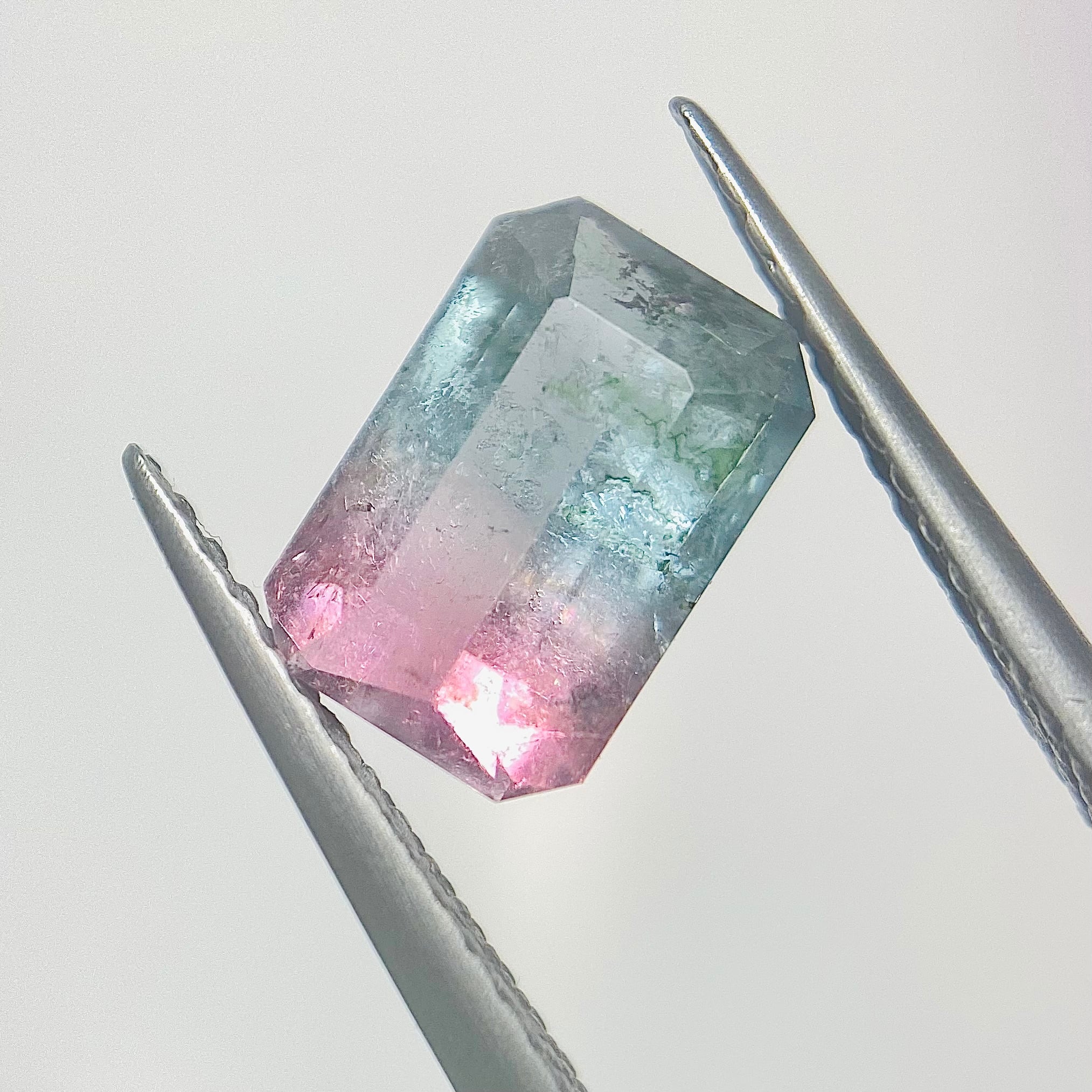 川辺の桜 トルマリン