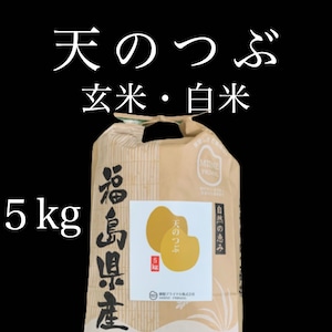 【新米】令和5年産 天のつぶ｜5kg×1袋（紙袋）　玄米・白米【福島産・米農家直販・2023年産】