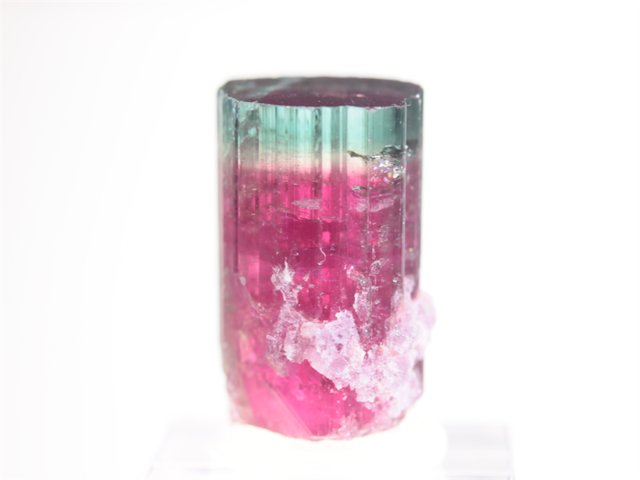 Tourmaline ＆ Lepidolite （Cruzeiro Minas Gerais Brazil）