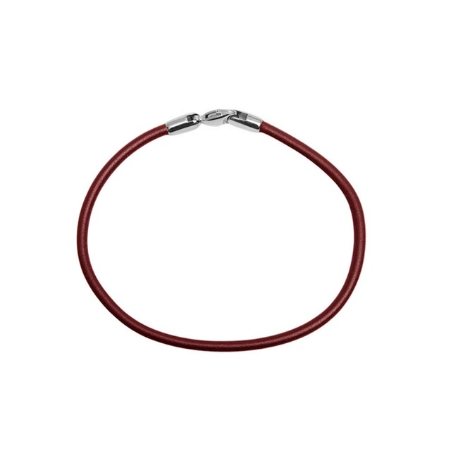 ダニエルウェリントン DANIEL WELLINGTON Leather Bracelet 2.8 St Mawes S 195mm ブレスレット DW00400717 レディース メンズ シルバー ブラウン