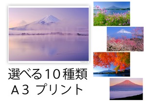 『富士山写真プリント A3』選べる１０種類　