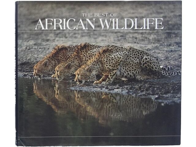 洋書◆サメの写真集 本 鮫 ジョーズ 動物 洋書◇サメの写真集 本 鮫 ジョーズ 動物 | 洋書堂
