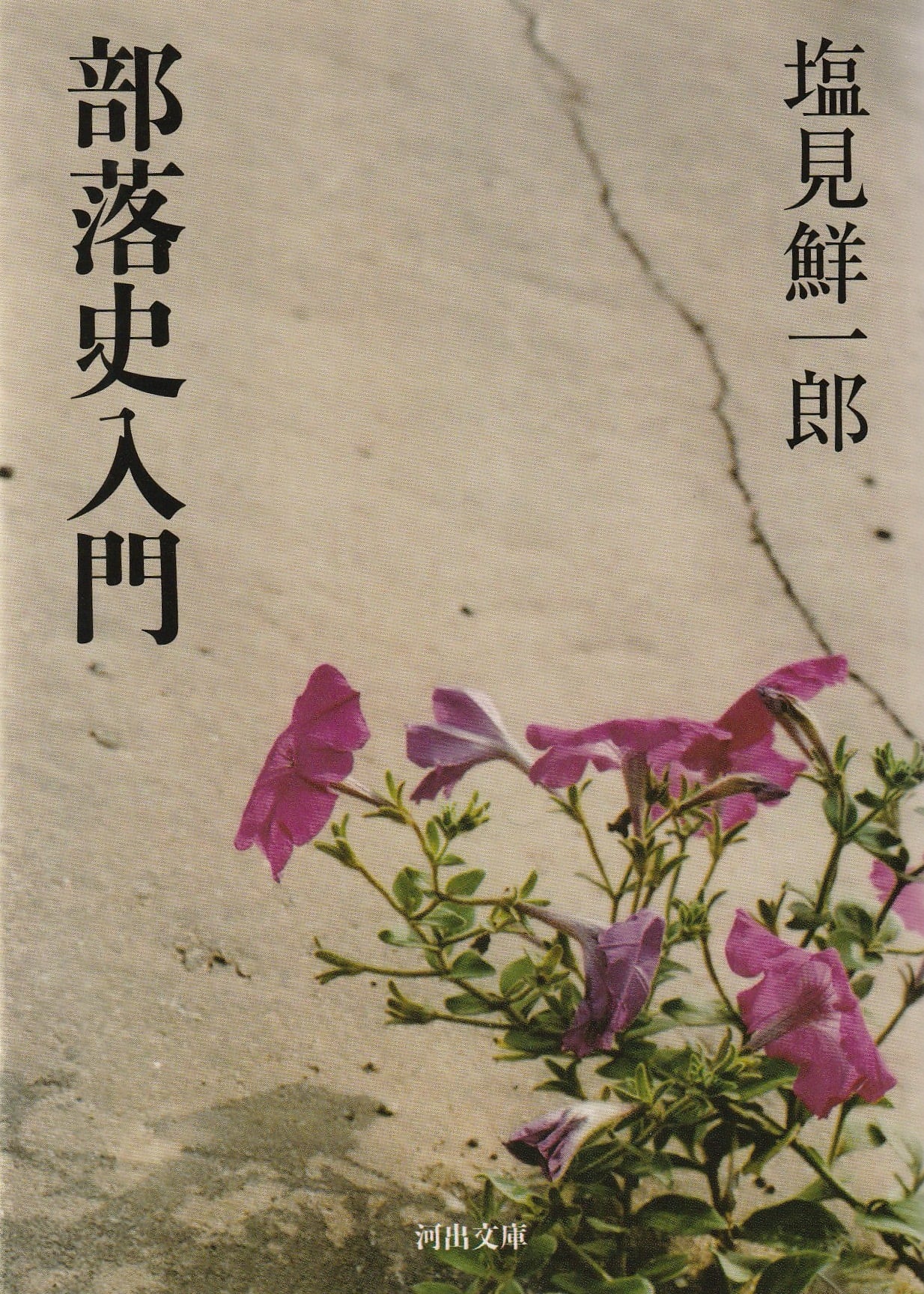 部落史入門［OUTLET］