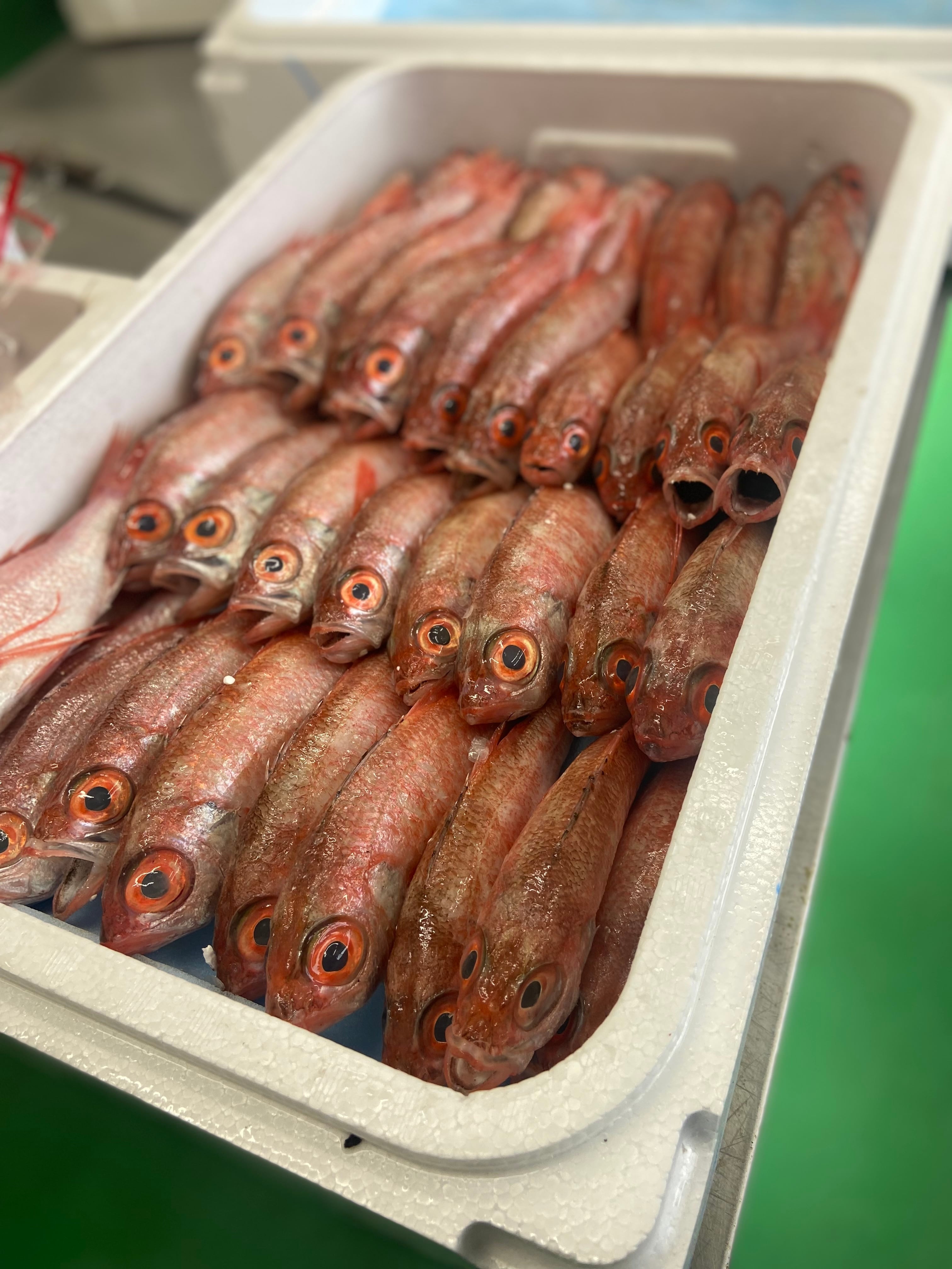 夜半の繙き　シークレット 3枚セット 座標一致！ ノドグロ一夜干し | 【丸徳水産 公式 通販サイト】まるとくオンライン