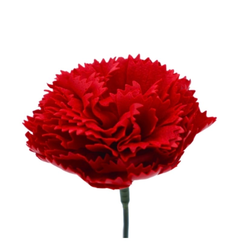 アトリエココロ様専用　C-R1