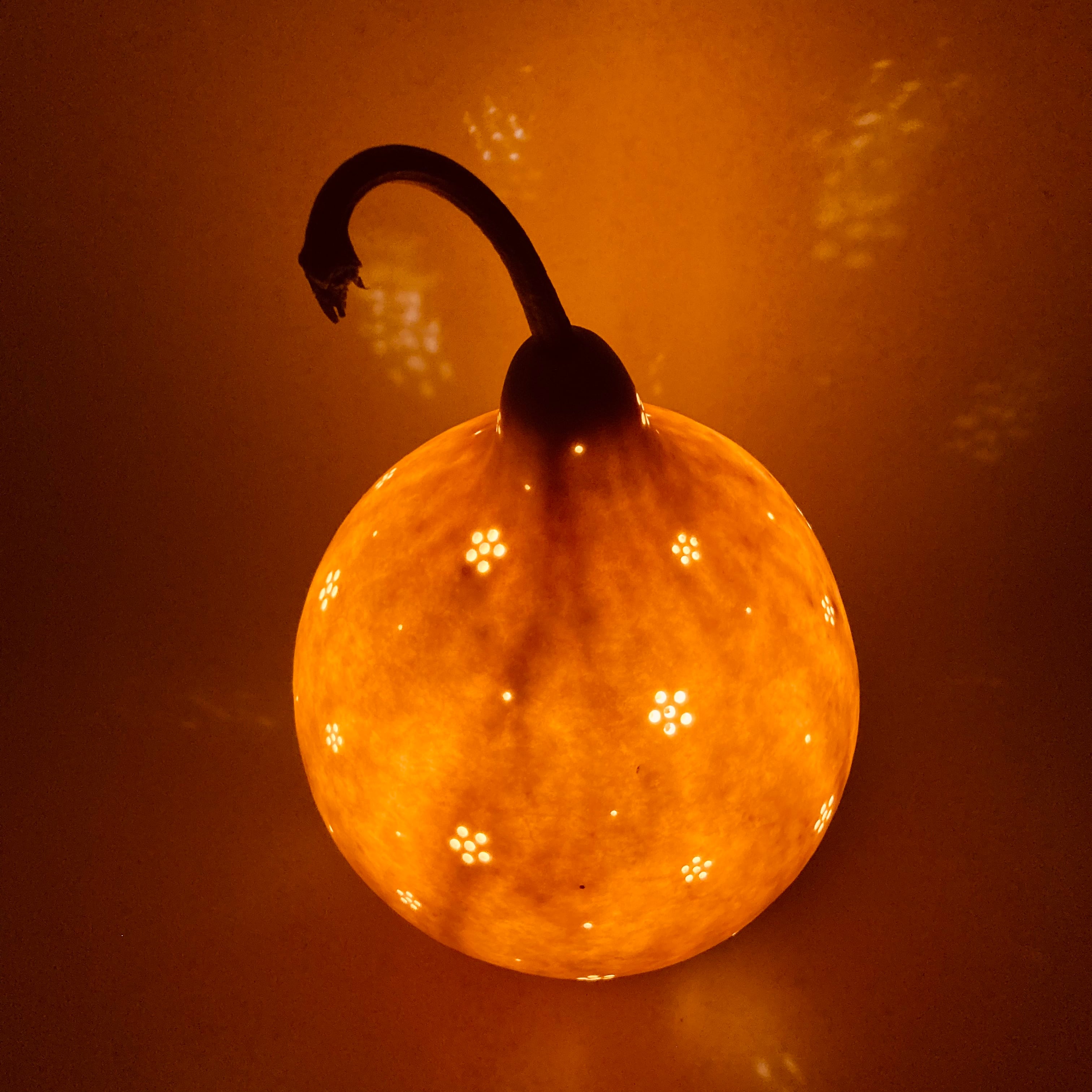 こつぼごけランプ10 | ひょうたんランプ専門店／奥入瀬ランプ工房