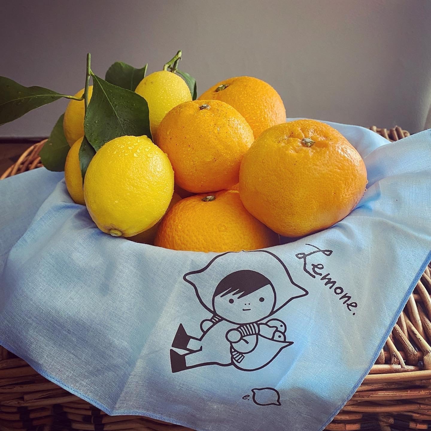 瀬戸内レモンシトラスセット