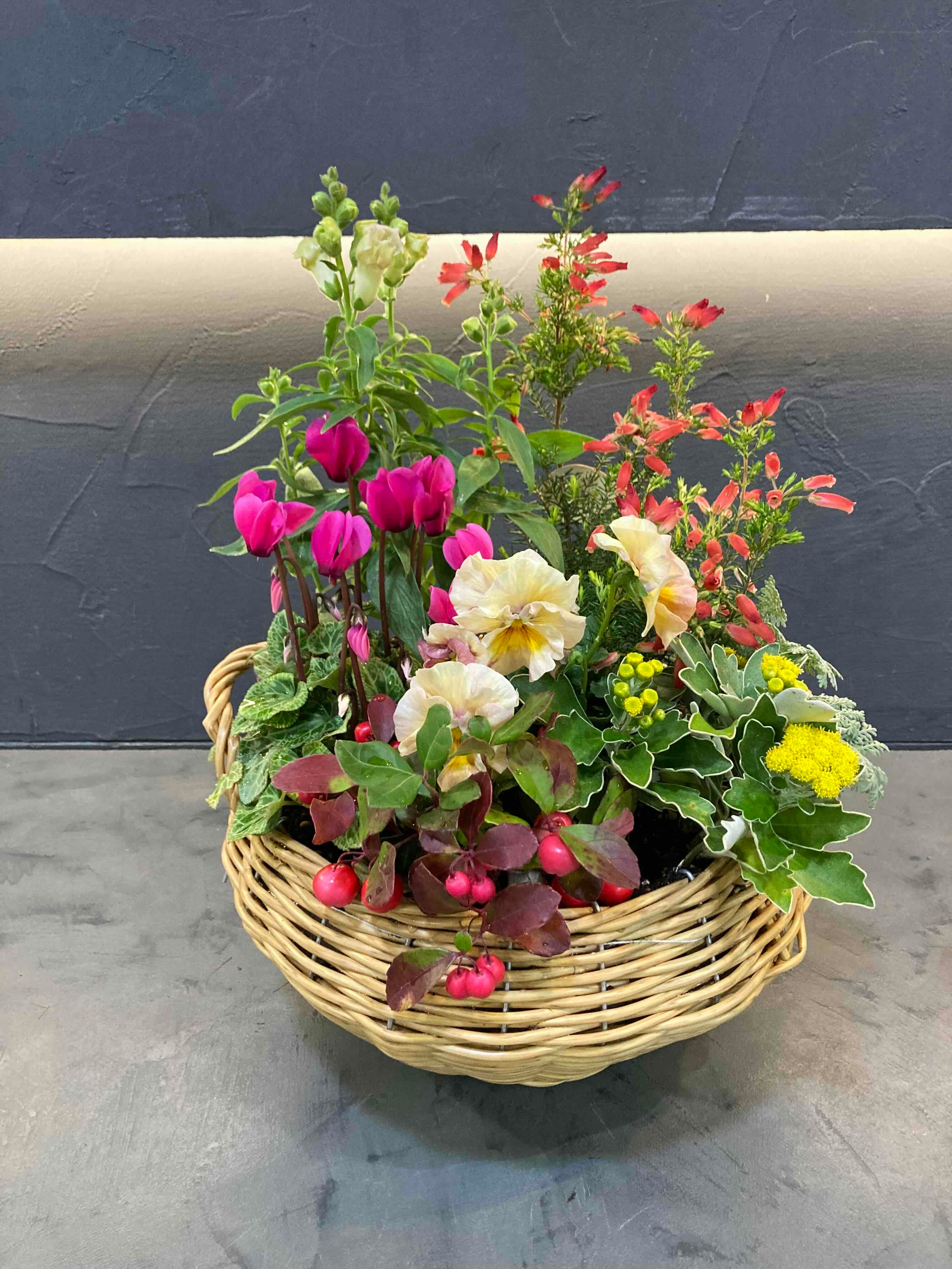 季節の寄せ植えアレンジ