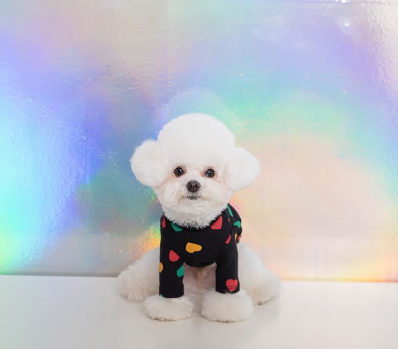 heart crew neck top S ~ 2XL 3color / 犬服 秋冬 新作 可愛い ワンコ服 ストレッチ 犬の服 長袖T シャツ ドッグウェア ハート柄 お揃い ハイネック 小型犬 中型犬 b45