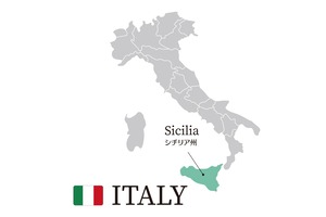 アルタモーラ エトナ ロッソ グアルディオーラ／Alta Mora Etna Rosso DOC Guardiola（F53）