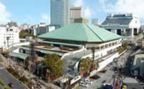 Sumou-Museum & Edo-Tokyo Museum historic tour