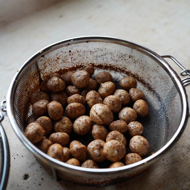 自家焙煎マカダミアナッツと焚き火ブレンドセット