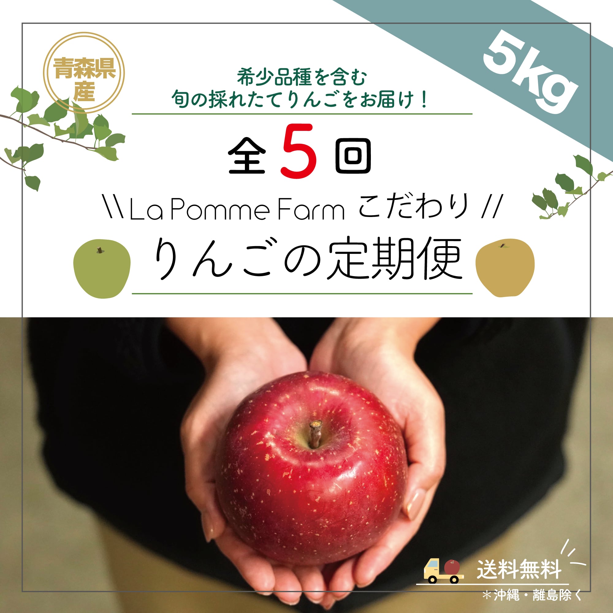 暮らしの林檎園　5kg】りんごの定期便（全5回）※送料無料！　Pomme　La　Farm