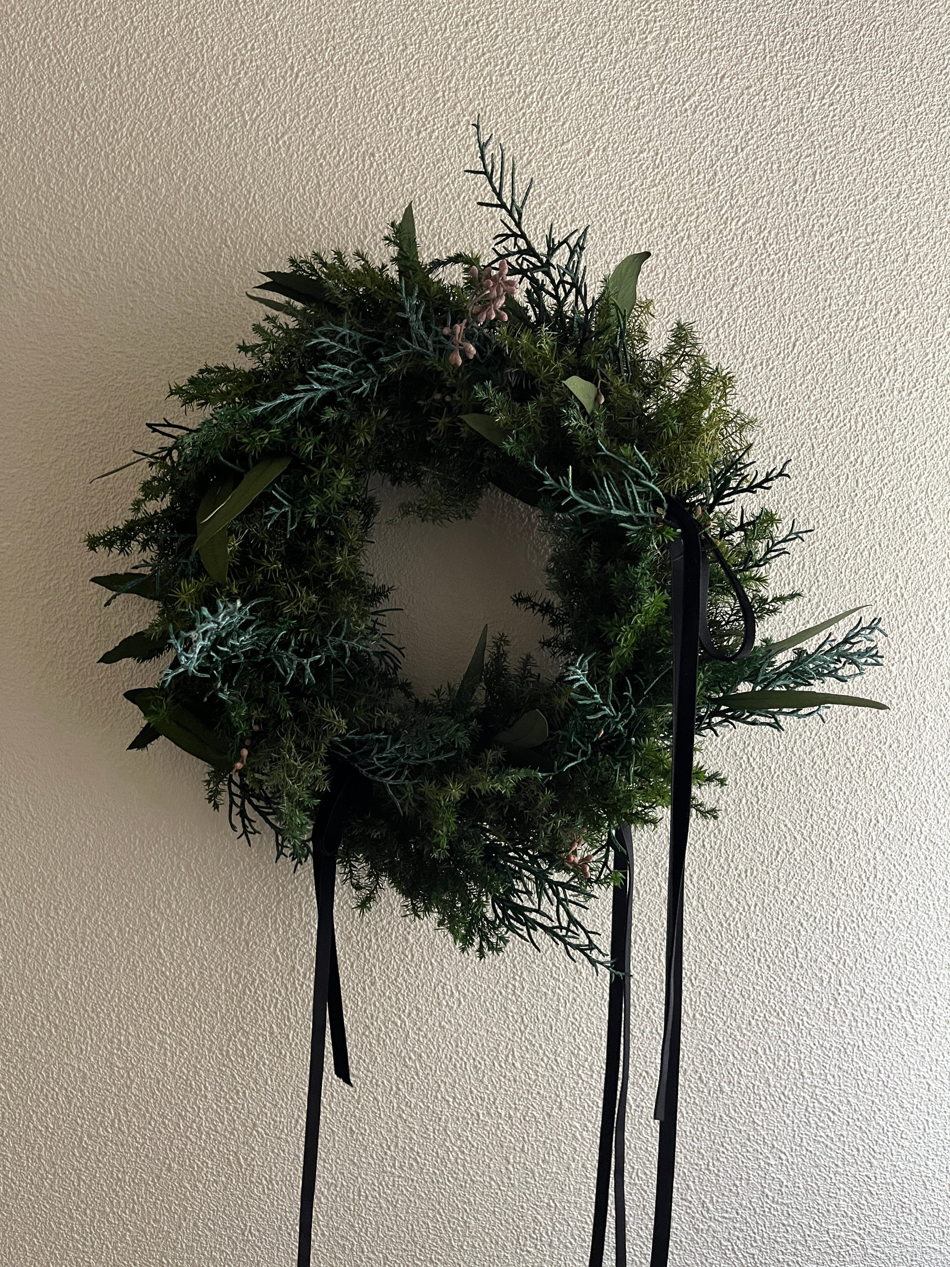 ヒムロスギ リボンリース Himurosugi Ribbon wreath