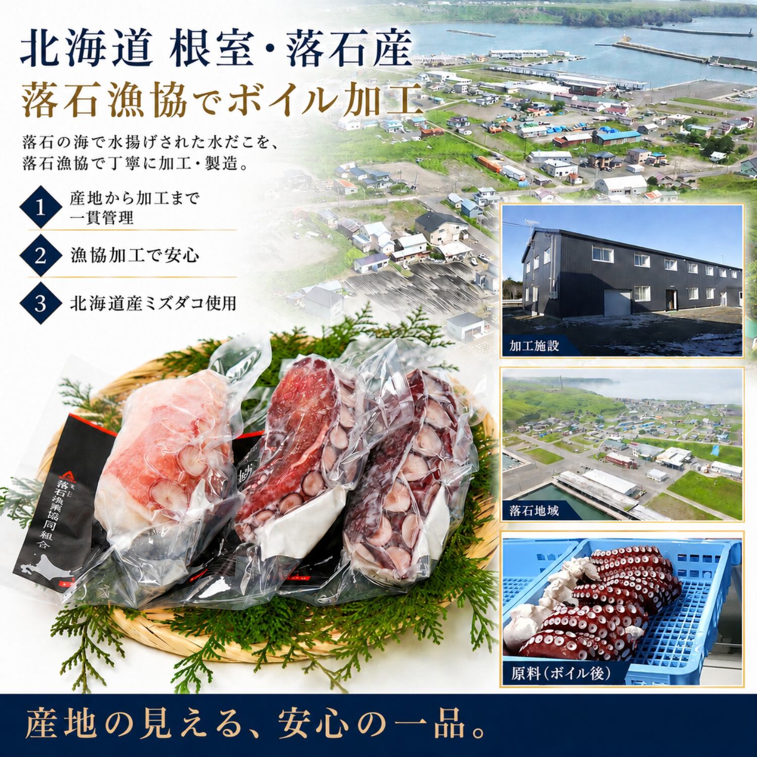 水だこ ボイル足 ブロック 3切れ（約1kg前後）北海道 根室・落石産