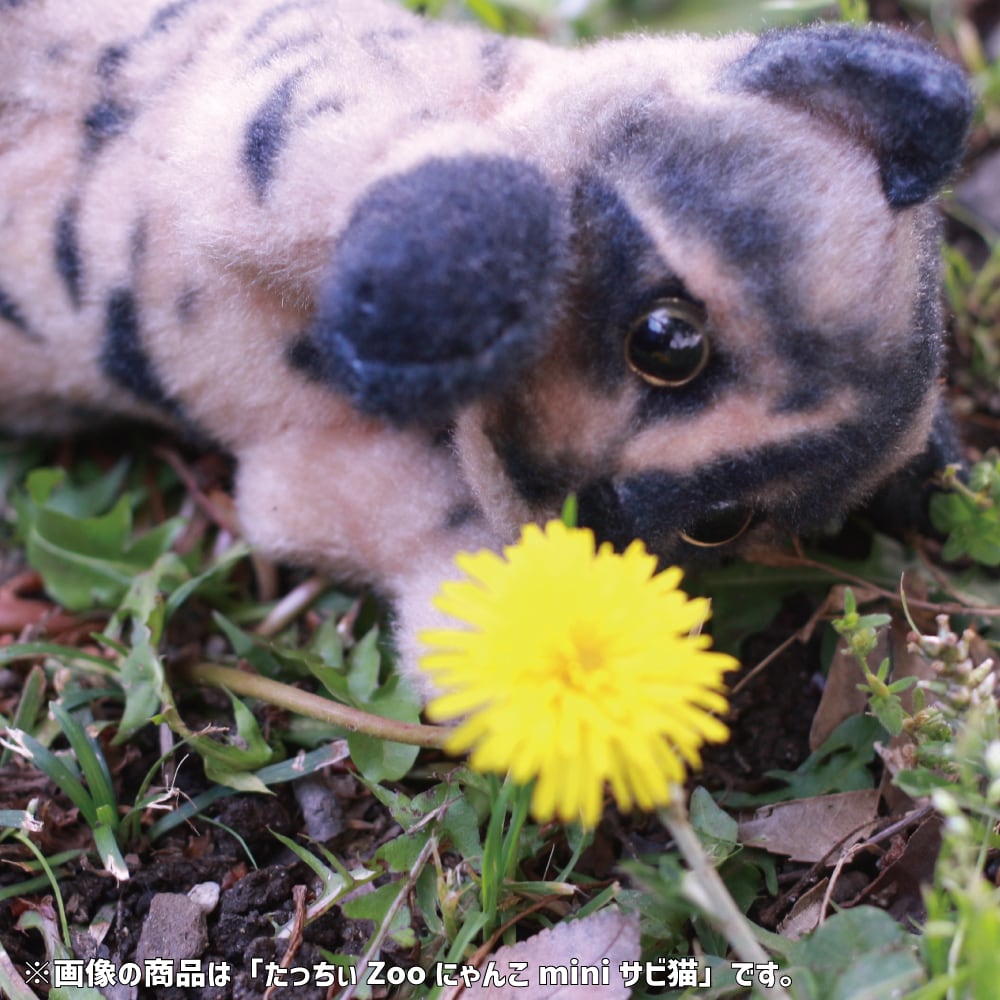 a91e5bae3786855254db51609ff919