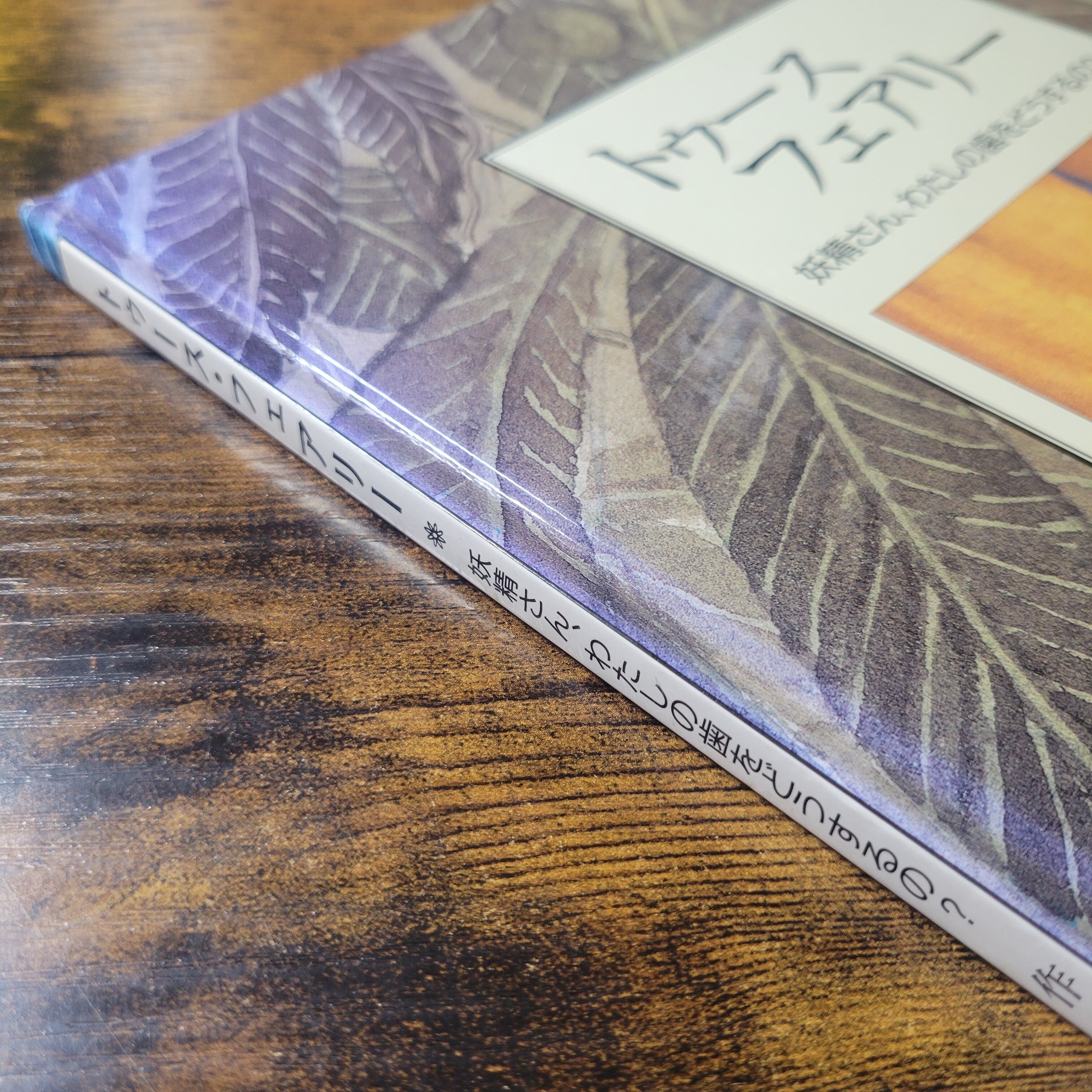 絵本『トゥース・フェアリー 妖精さん、わたしの歯をどうするの