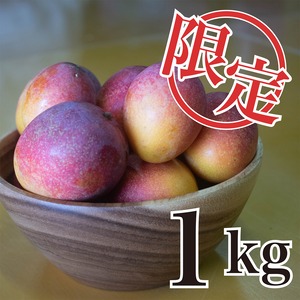 【2025年限定】ミニマンゴー１kg