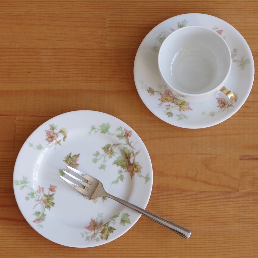 HAVILAND リモージュ アビランド 皿 2枚 fkip.unmul.ac.id