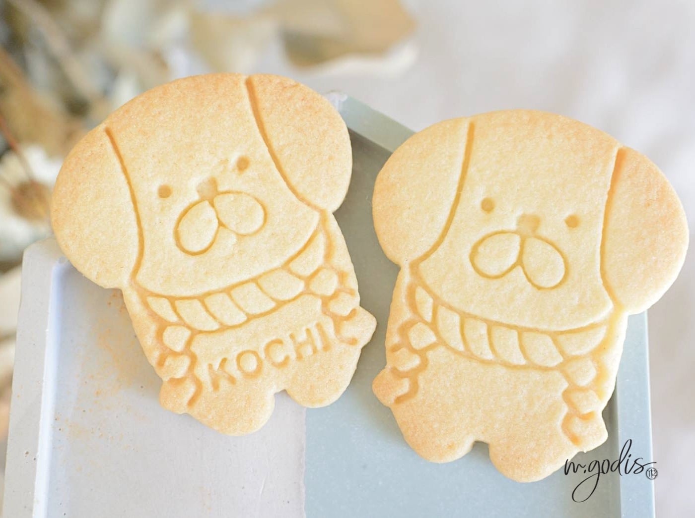 &dueご当地クッキー型【KOCHI～高知～】 | mgodis