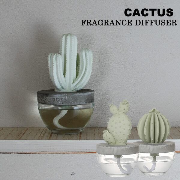 CACTUS FRAGRANCE DIFFUSER カクタス フレグランス ディフューザー 3種類 DULTON ダルトン サボテン 香り 芳香剤