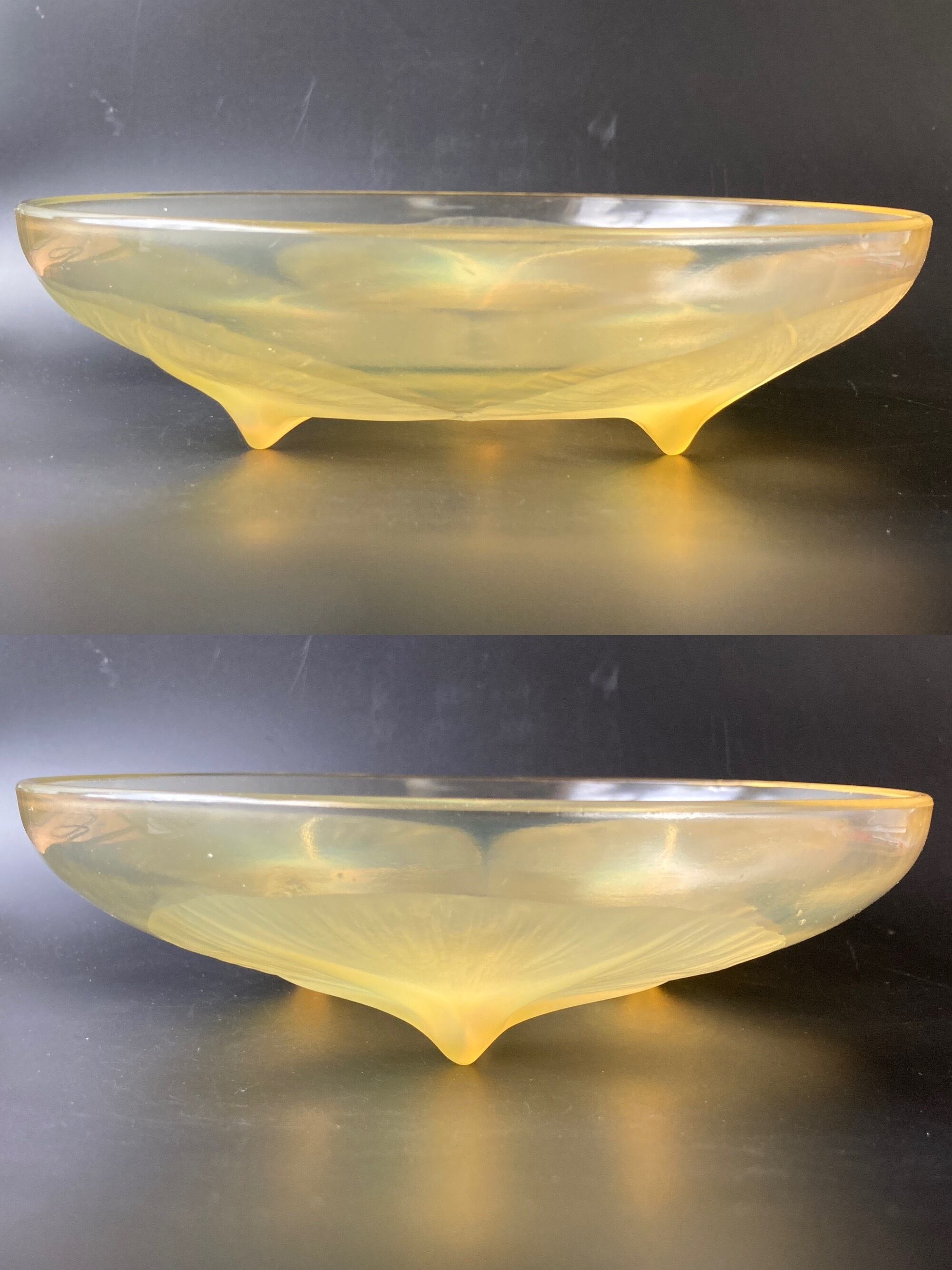 R.LALIQUE ルネ・ラリック「Volubilis」あさがお 朝顔文 硝子浅 R.LALIQUE ルネ・ラリック「Volubilis」あさがお 朝顔文 硝子浅