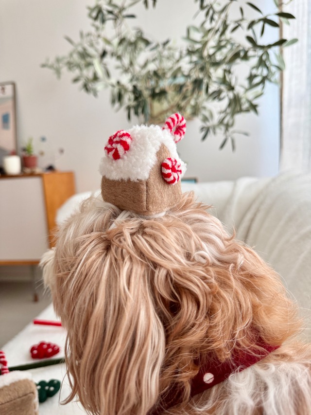 gingerbread house hat from WETNOSE 猫 帽子 クリスマス