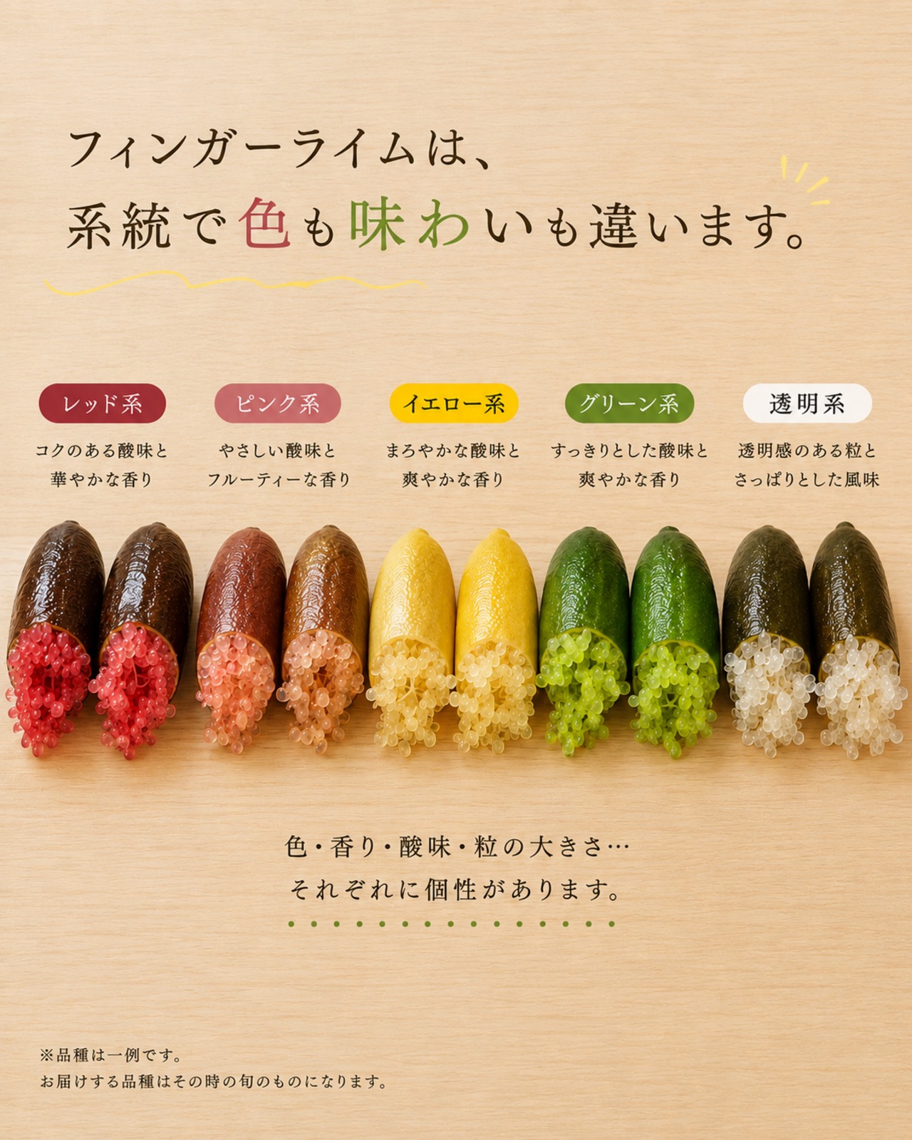 【旬の2〜3品種を食べ比べ】福島県産フィンガーライム 50g