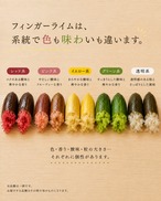 【旬の2〜3品種を食べ比べ】福島県産フィンガーライム 50g