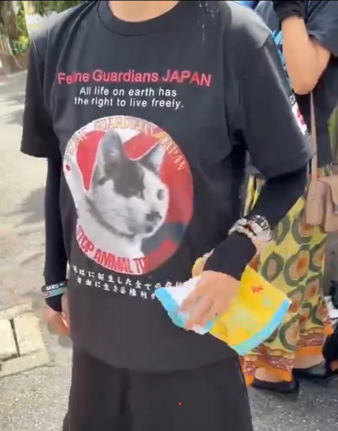 グローブ、Tシャツねこどん様限定 Amazon | おもしろ 猫好き 猫飼い 猫 ネコ ねこ 黒猫 くろねこ