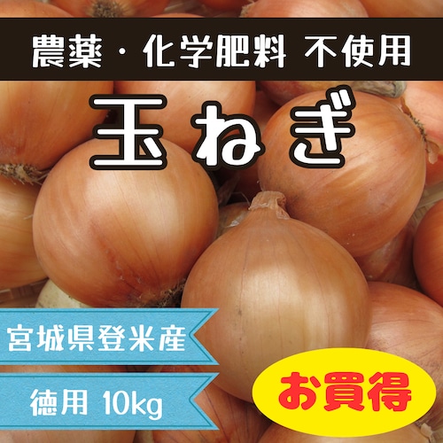 【徳用】玉ねぎ 10kg