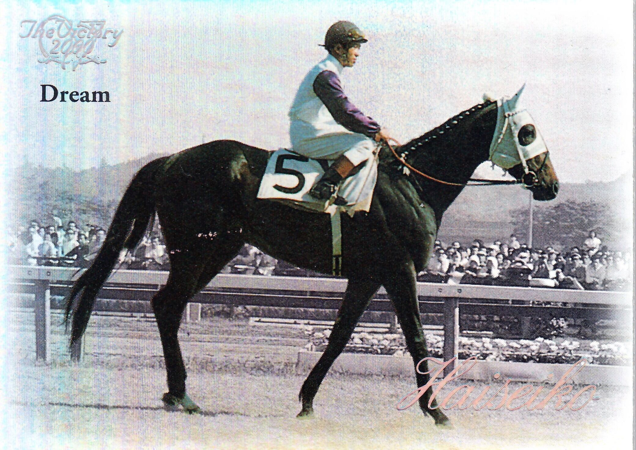 第35回有馬記念：オグリキャップ(Dream)「The Victory 2000」R-26