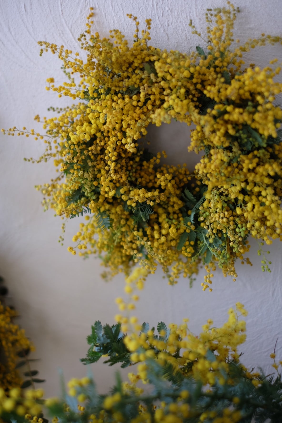 ミモザのシンプルリース　large