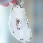 Milk Coffee - アゲートヒーリングチャイム / Agate Sun Catcher Wind Chime 1035