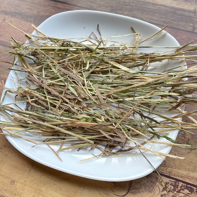 2025年刈取り　セカンドフラッシュ　お試しサイズ　カナダ産（ドライランドエリア）チモシー   100g　【送料無料】