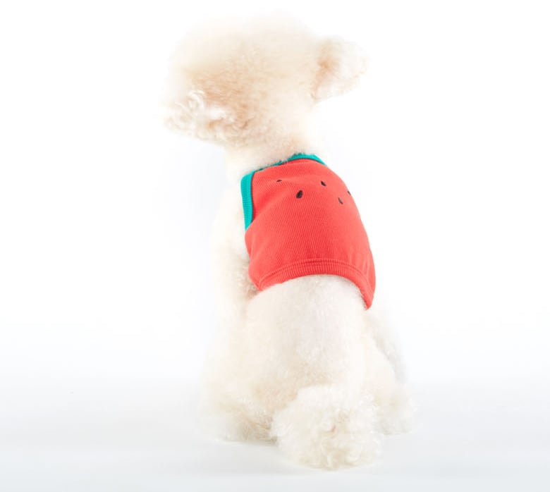 フルーツクロップドトップス S ~ 2XL / 犬の服 犬服 ペット洋服 ドッグウェア ペット用品 小型犬 中型犬