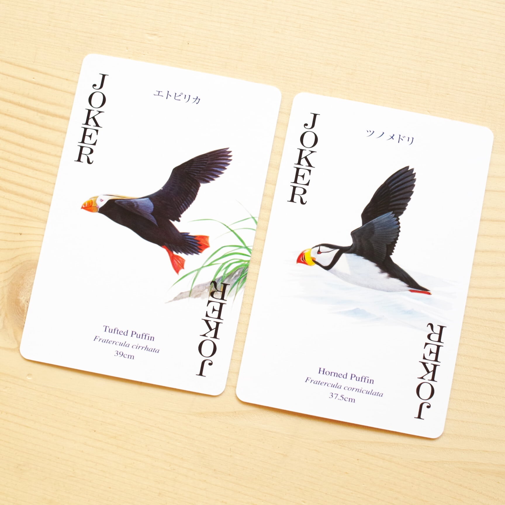 野鳥トランプ 水辺の鳥 | 木のおもちゃ専門店 おもちゃ箱 イカロス