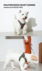 【PUPPYGALLERY公式】オールウェザー防水ハートハーネス　3XS〜XS