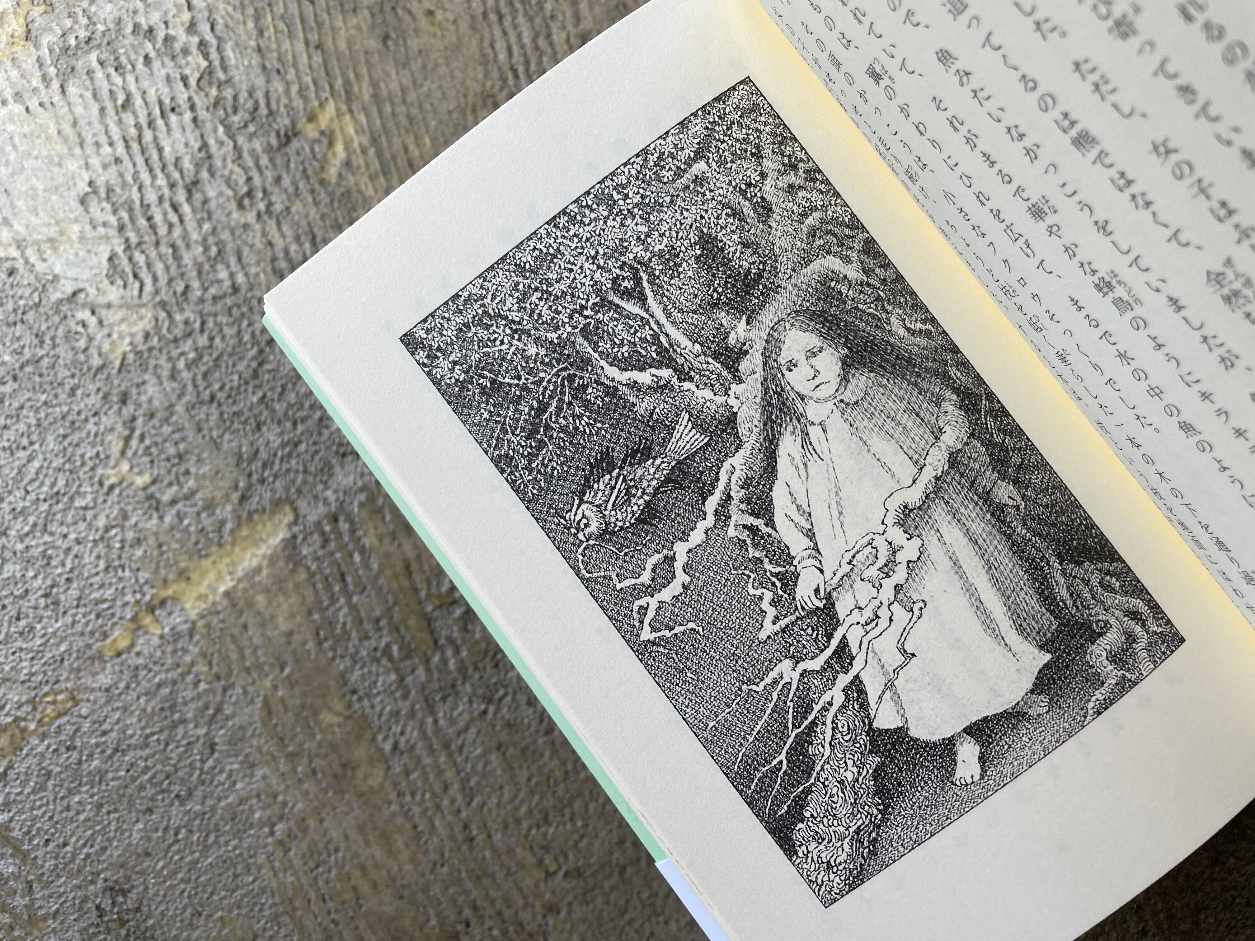 金の鍵 | STANDARD BOOKSTORE