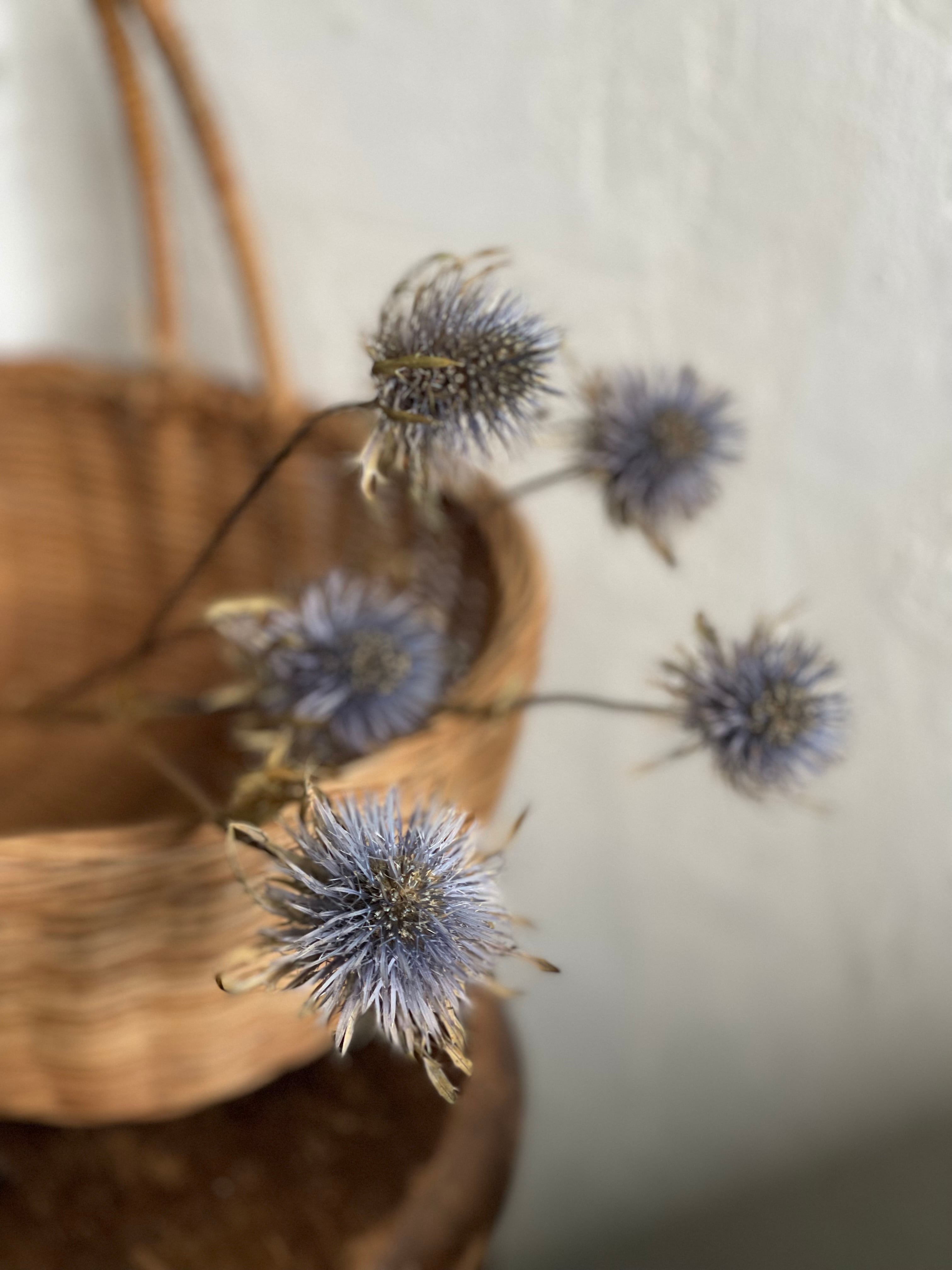 a9368467ab8fddcd17f8dec78f9e83