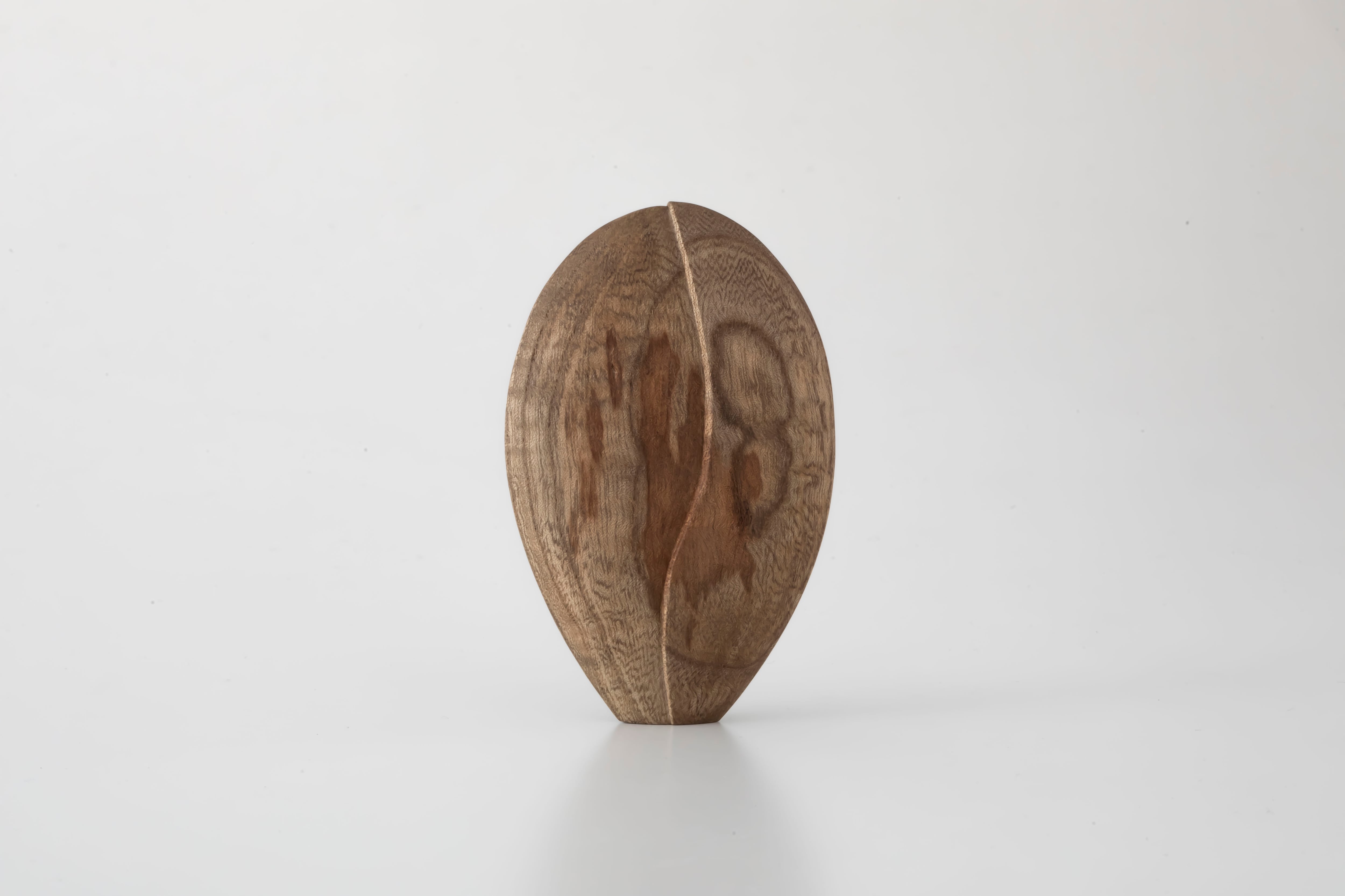 抽象オブジェ〈種型〉(42) / 船山奈月