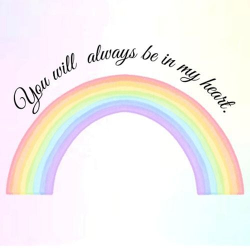 虹のお花畑フラワーフレーム【PE-606】縦横21㎝│木枠両面ガラスフレーム│ギフトに｜写真│名入れ│メッセージ対応｜ペットメモリアル│虹の橋の想い出に