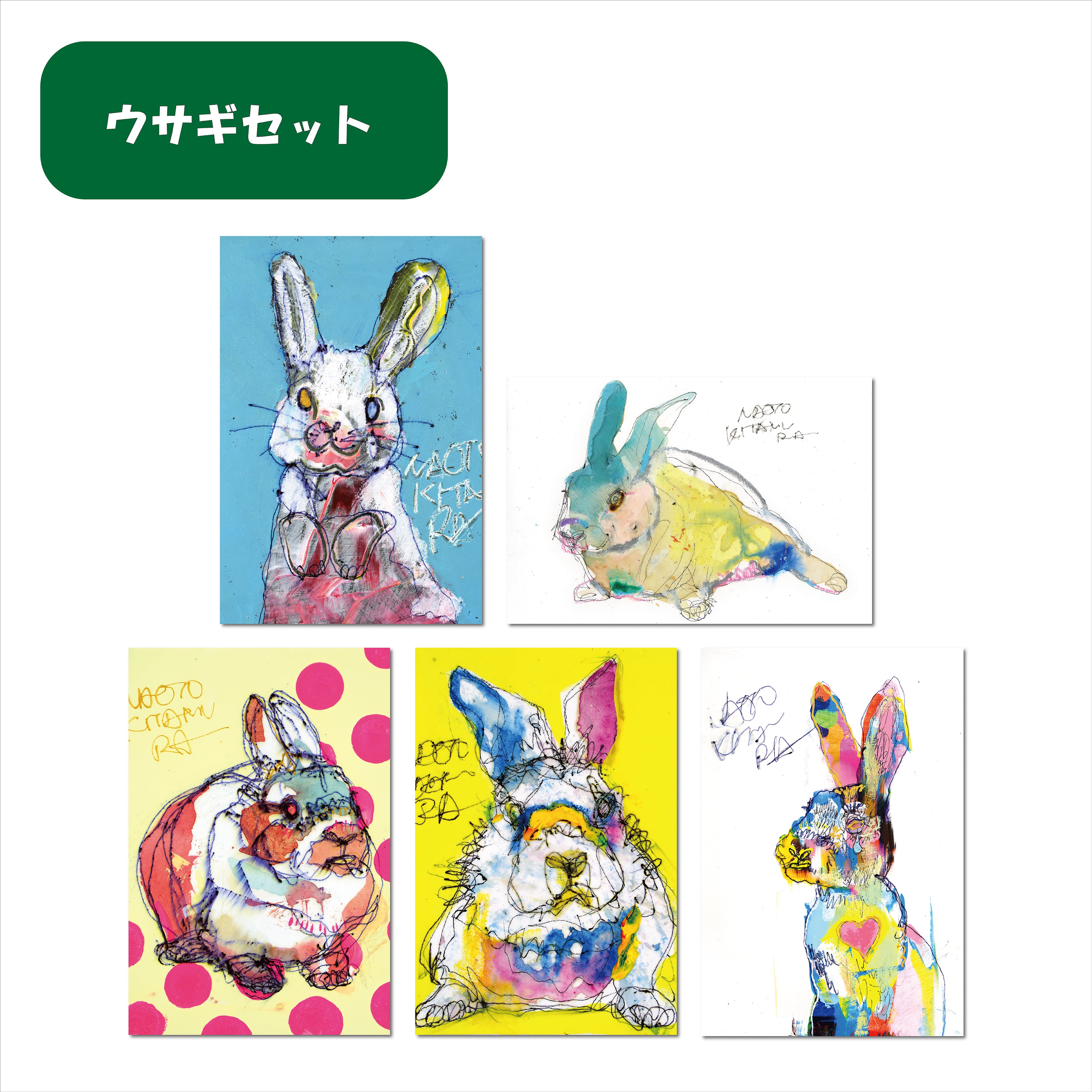 人気動物セット（ポストカード5枚セット） | NAOTO KITAMURA ONLINE STORE